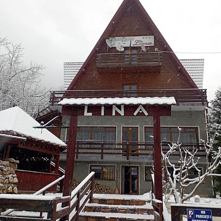 Pensiunea Lina Lepşa Extérieur photo